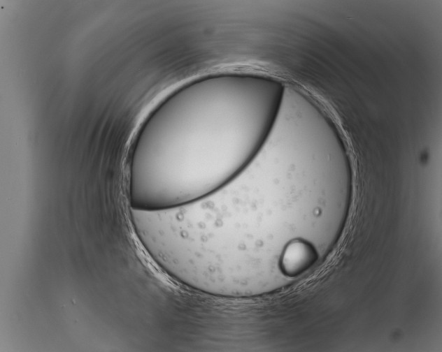 X0000116260816200911300951