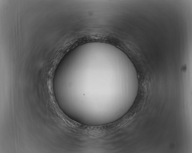 X0000116260817200911300950