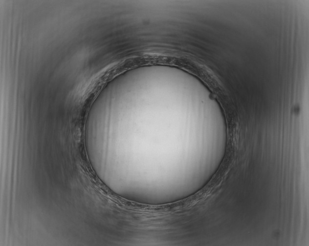 X0000116260821200911300950