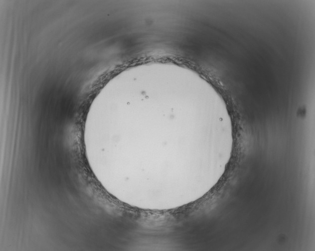 X0000116260824200911300950