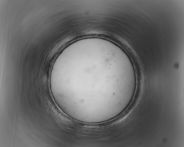 X0000116260825200911300950