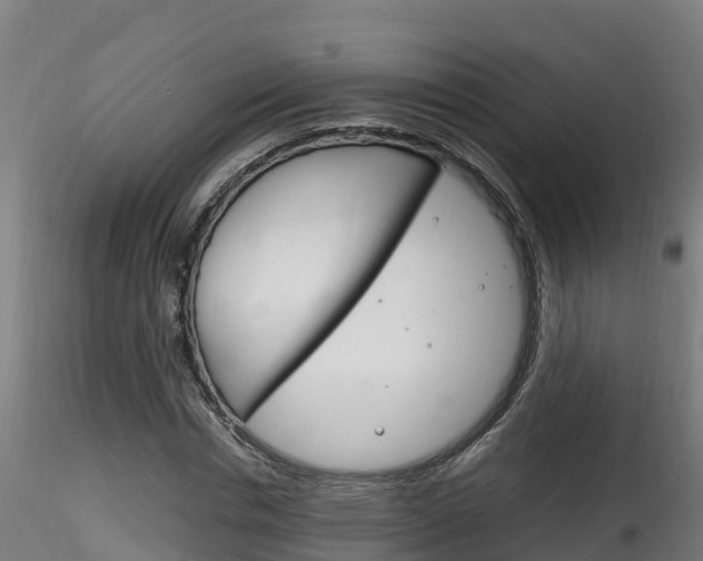 X0000116260826200911300950