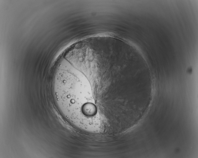 X0000116260827200911300950