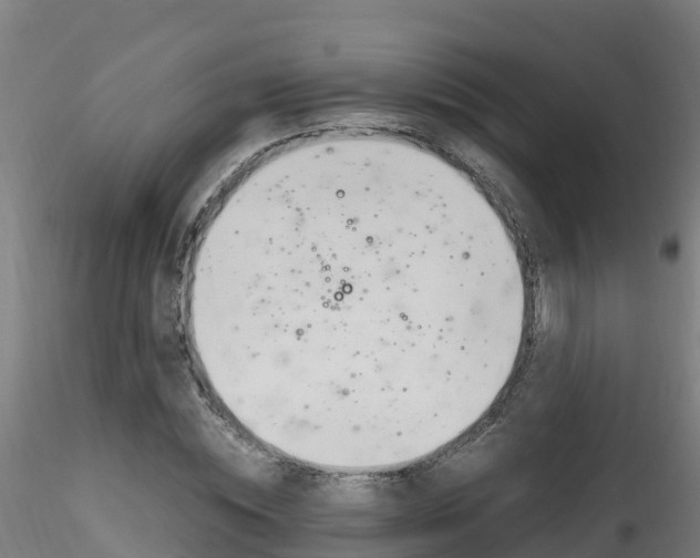 X0000116260828200911300950