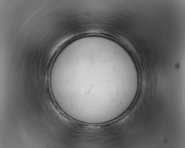 X0000116260831200911300950