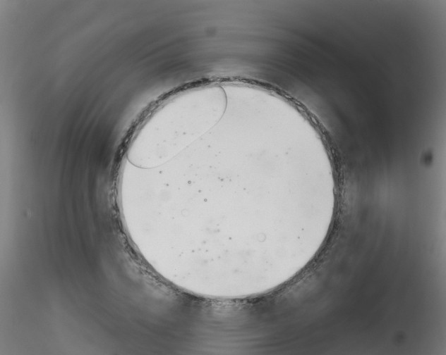 X0000116260832200911300950