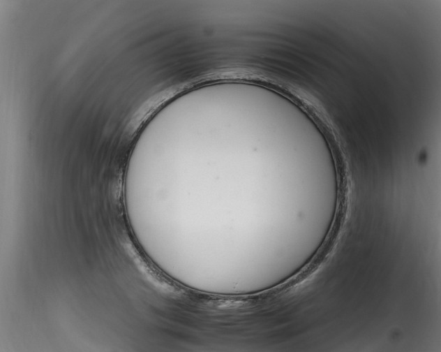 X0000116260841200911300950