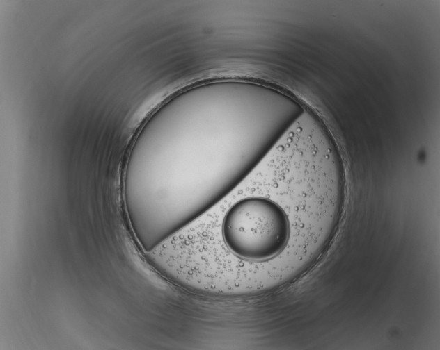 X0000116260842200911300950