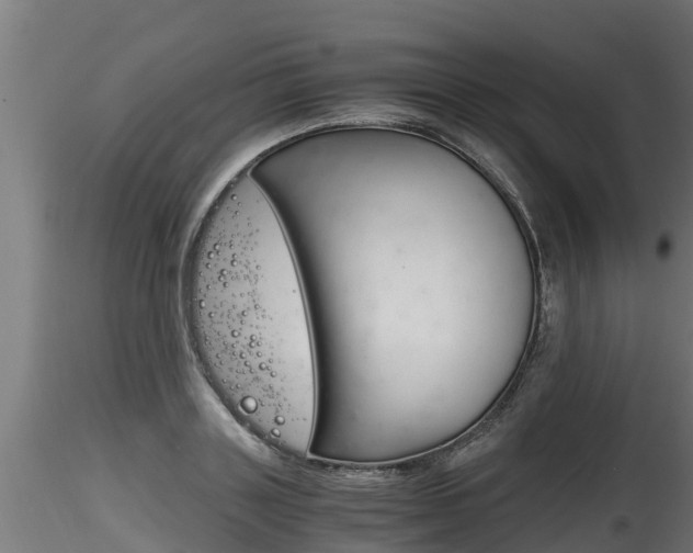 X0000116260843200911300950