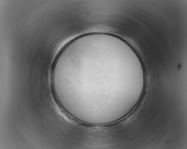 X0000116260846200911300950