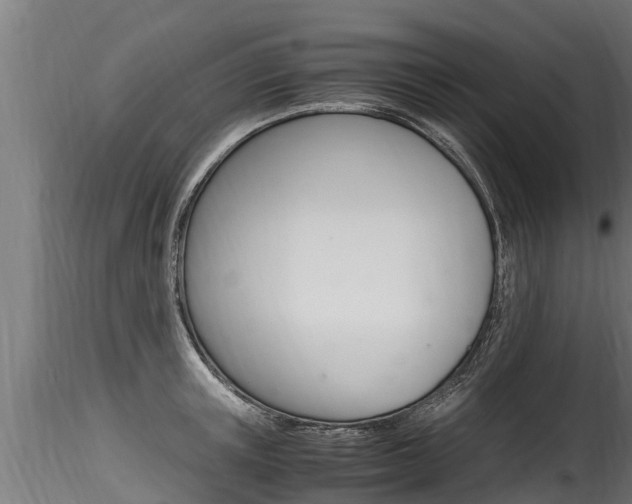 X0000116260851200911300950