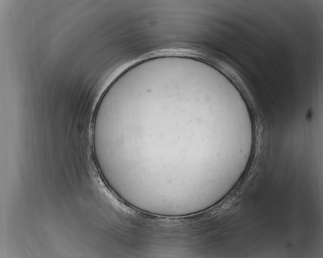 X0000116260852200911300950