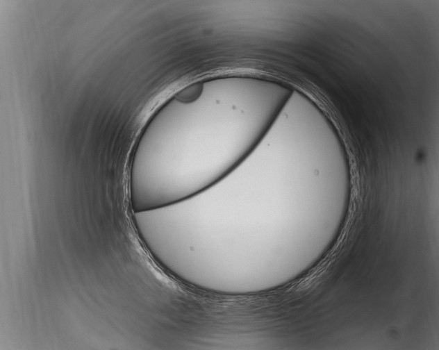 X0000116260858200911300951