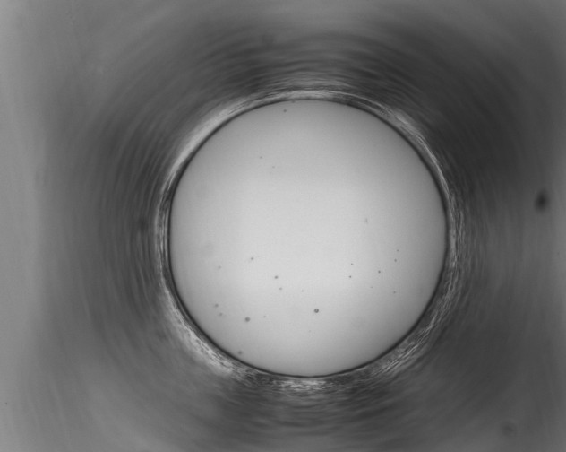 X0000116260859200911300951