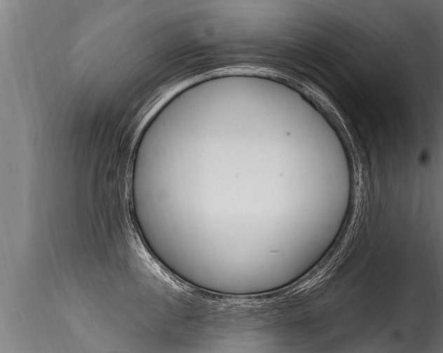 X0000116260860200911300951