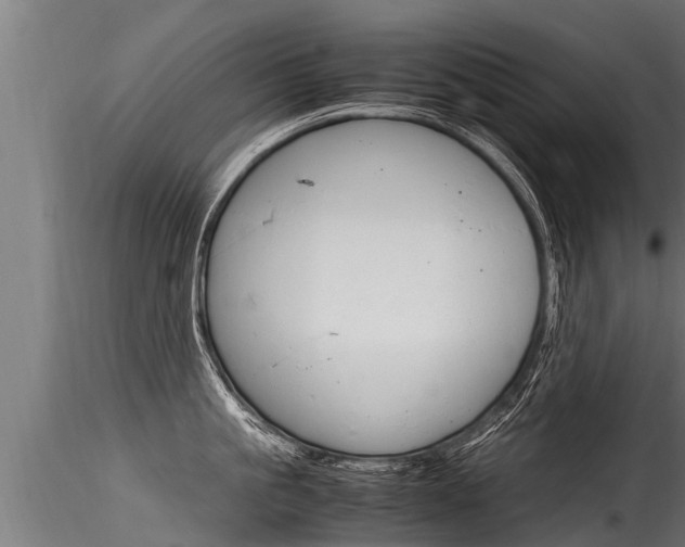 X0000116260861200911300951