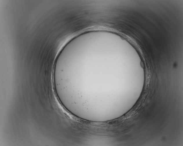 X0000116260863200911300951