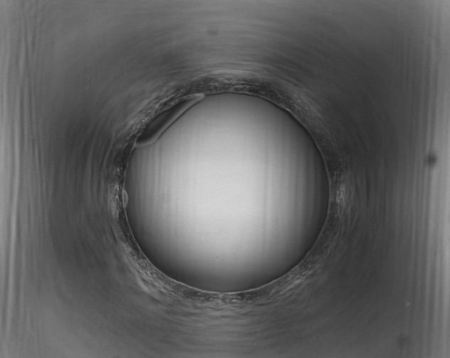 X0000116260868200911300950