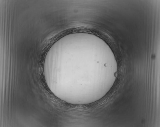 X0000116260869200911300950