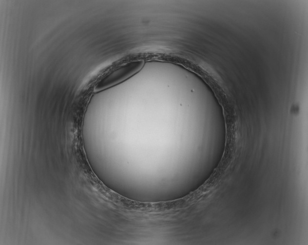 X0000116260872200911300950