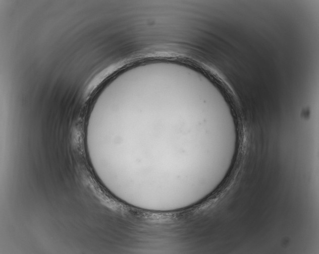 X0000116260874200911300950