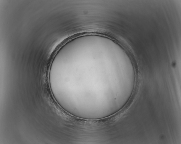X0000116260875200911300950