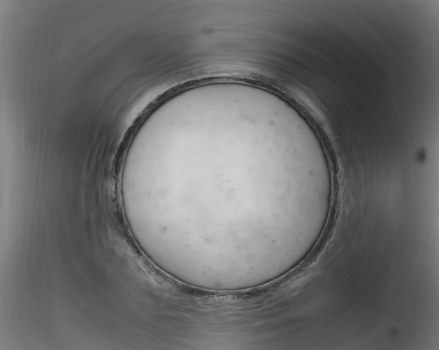 X0000116260883200911300950