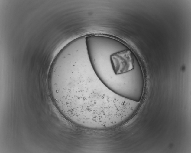 X0000116260885200911300949