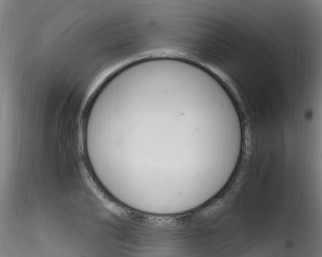 X0000116260886200911300949