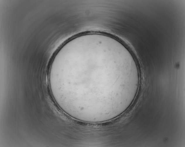 X0000116260887200911300949