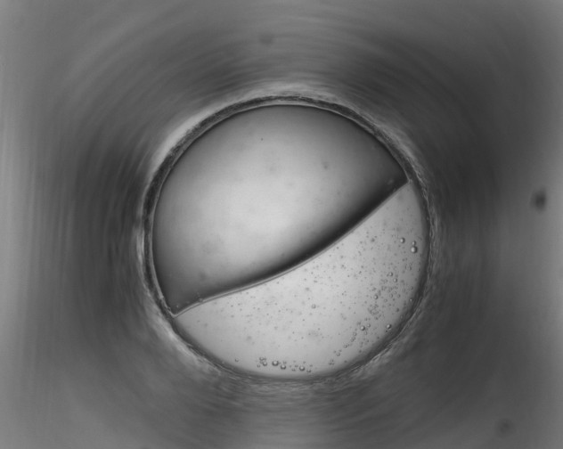 X0000116260888200911300949