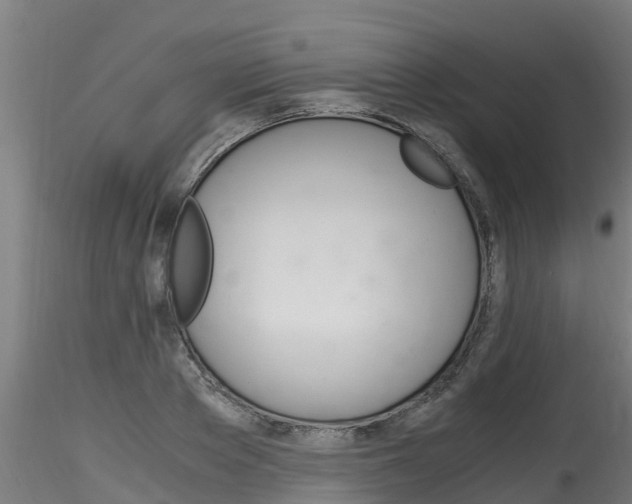 X0000116260889200911300949