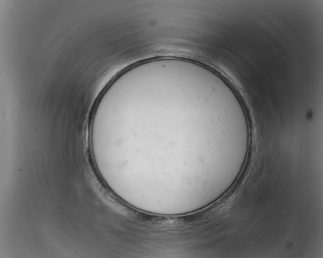 X0000116260891200911300949
