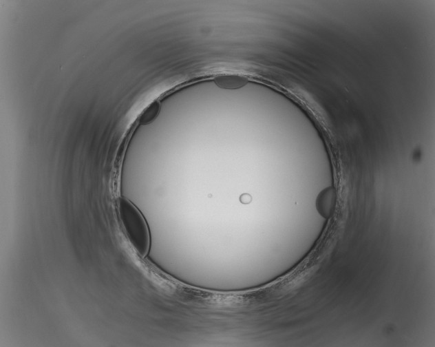 X0000116260893200911300949