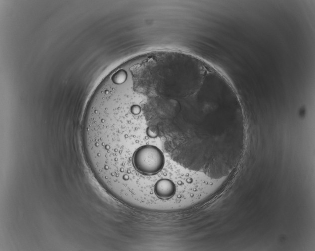 X0000116260895200911300949