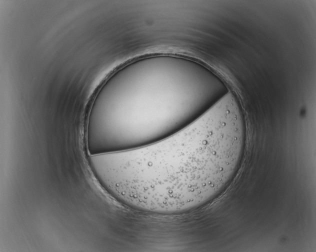 X0000116260896200911300949