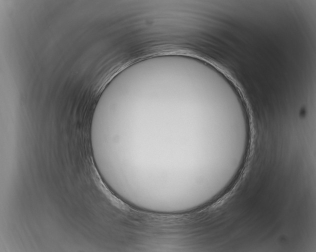 X0000116260897200911300949