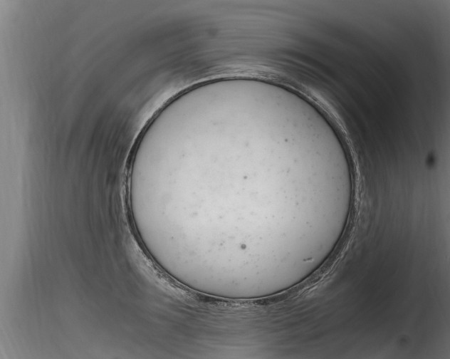 X0000116260899200911300949