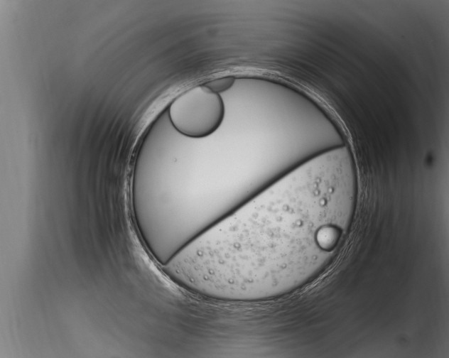 X0000116260906200911300949