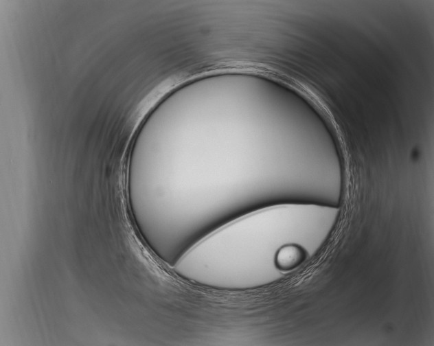 X0000116260907200911300949