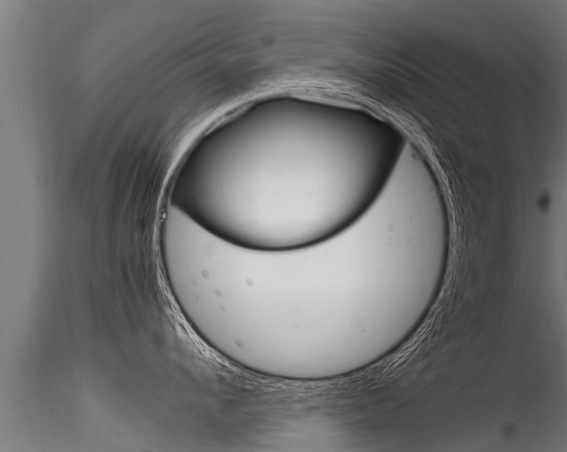 X0000116260912200911300949