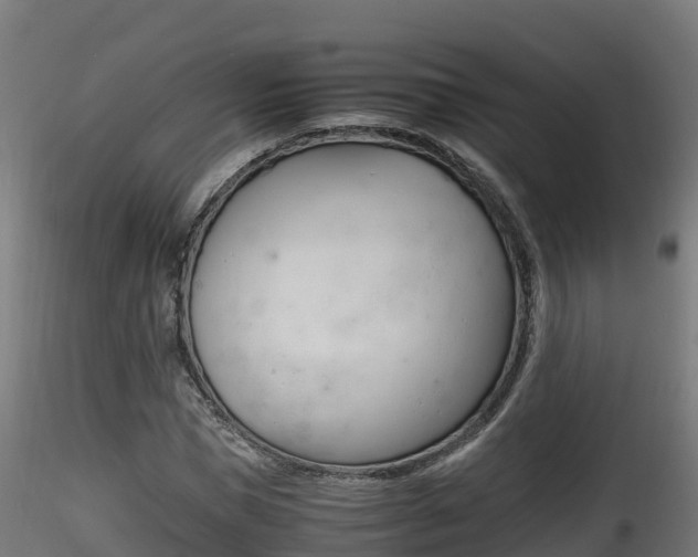 X0000116260921200911300949