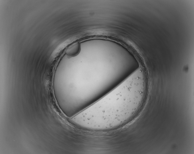 X0000116260922200911300949