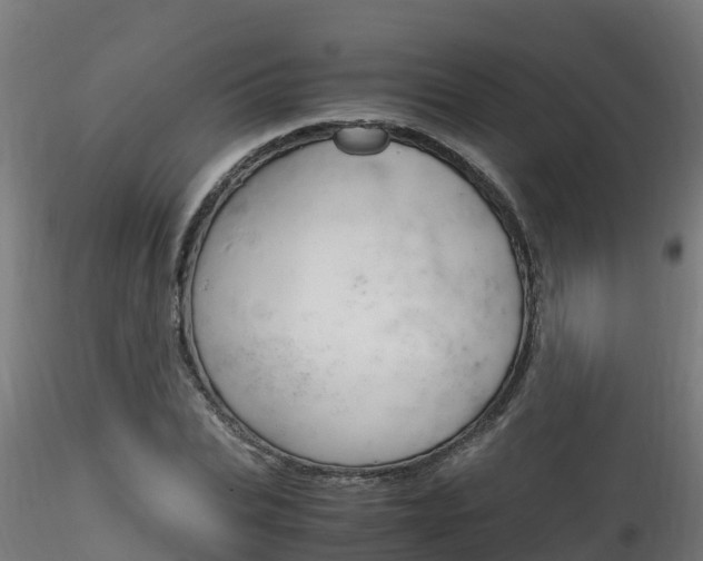 X0000116260927200911300949