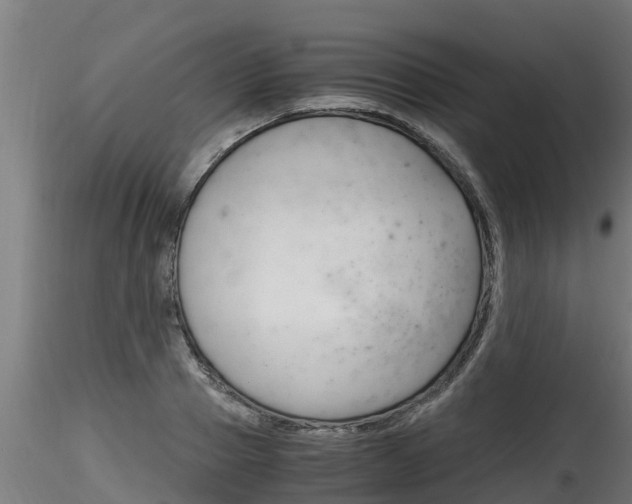 X0000116260937200911300949