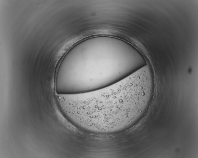 X0000116260938200911300949