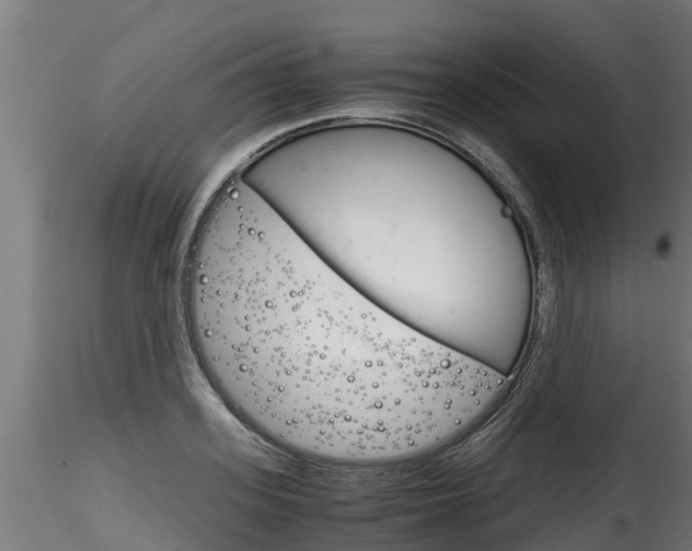 X0000116260939200911300949
