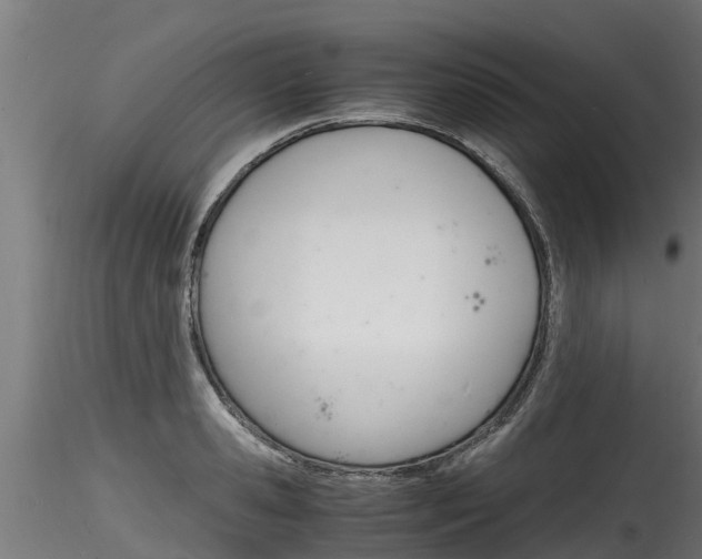 X0000116260941200911300949