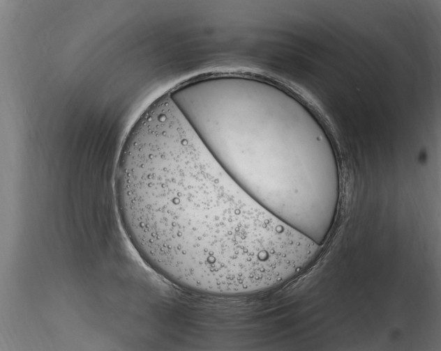 X0000116260943200911300949