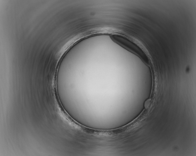 X0000116260946200911300949